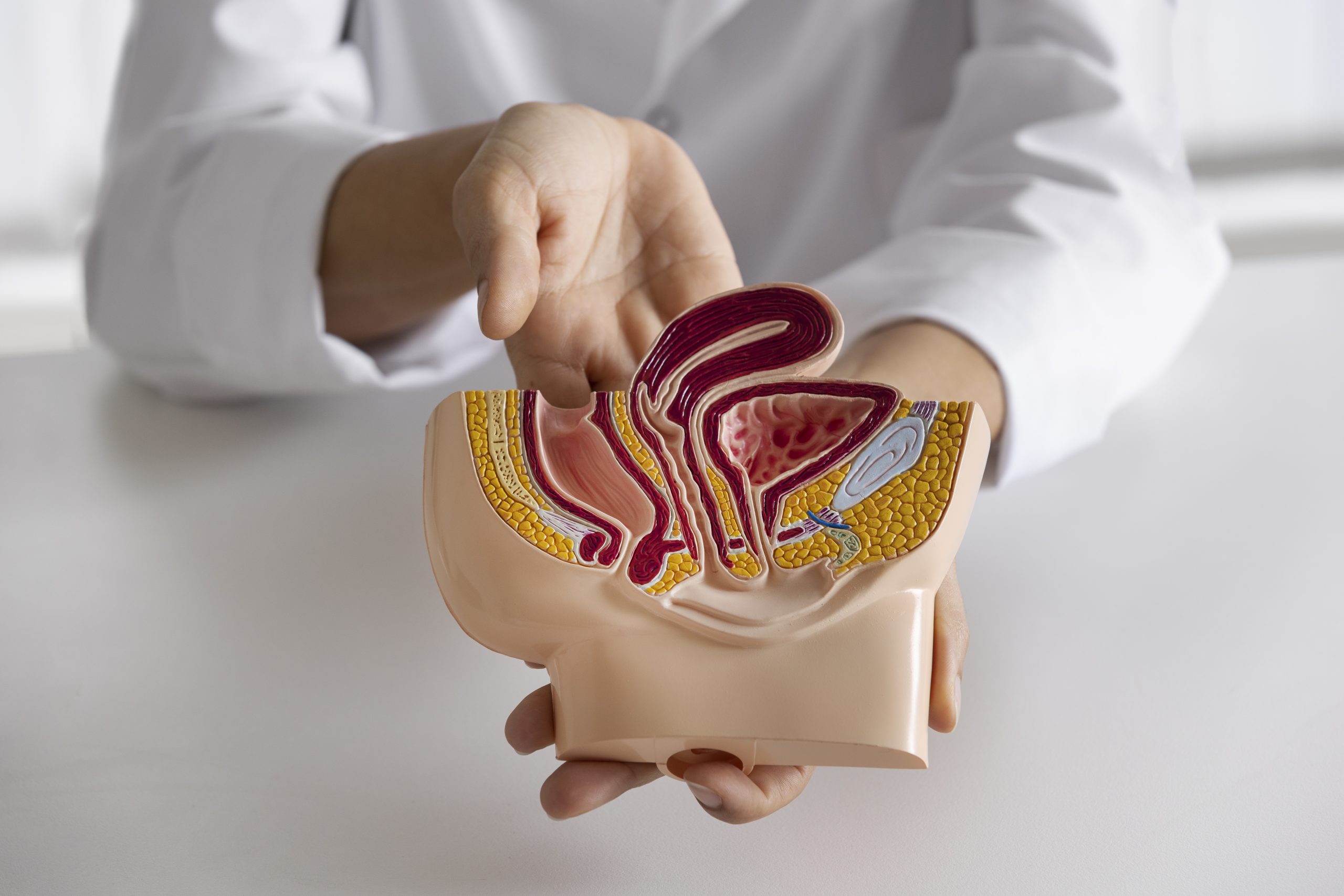 Testicular health