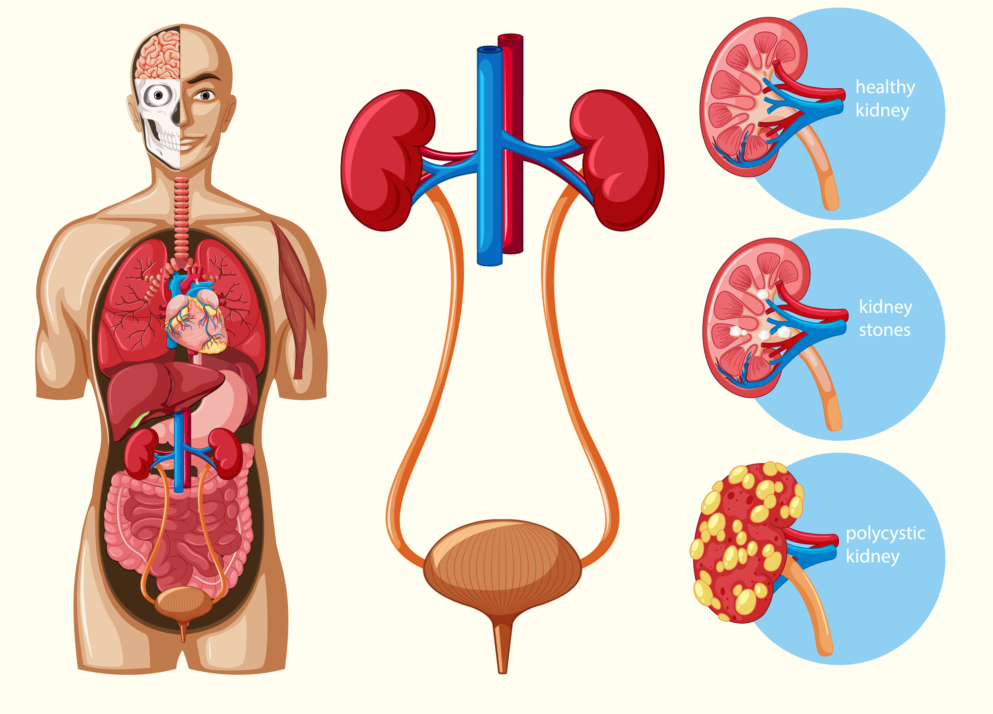 Advanced Technologies