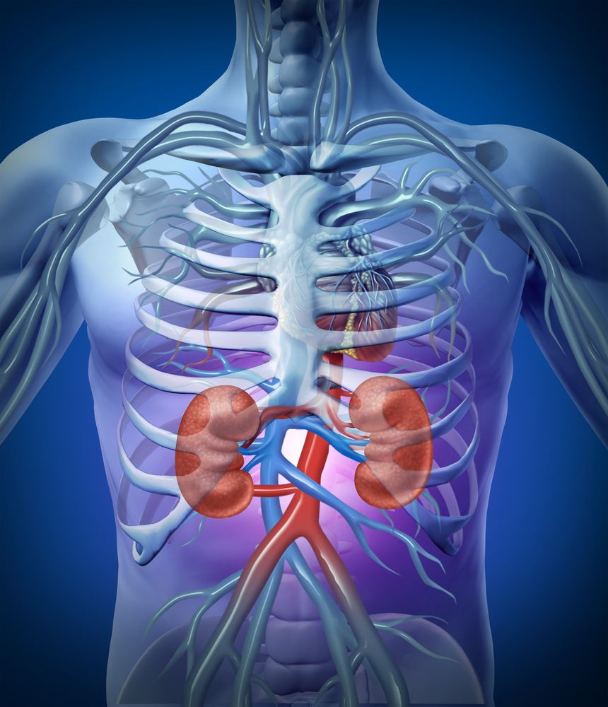 Nephrology Treatments